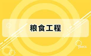 粮食工程