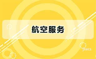 航空服务
