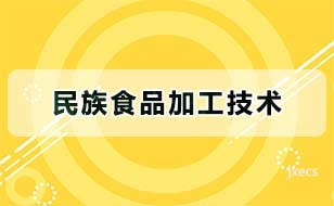 民族食品加工技术