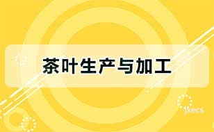 茶叶生产与加工