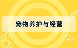 宠物养护与经营图片展示