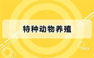 特种动物养殖